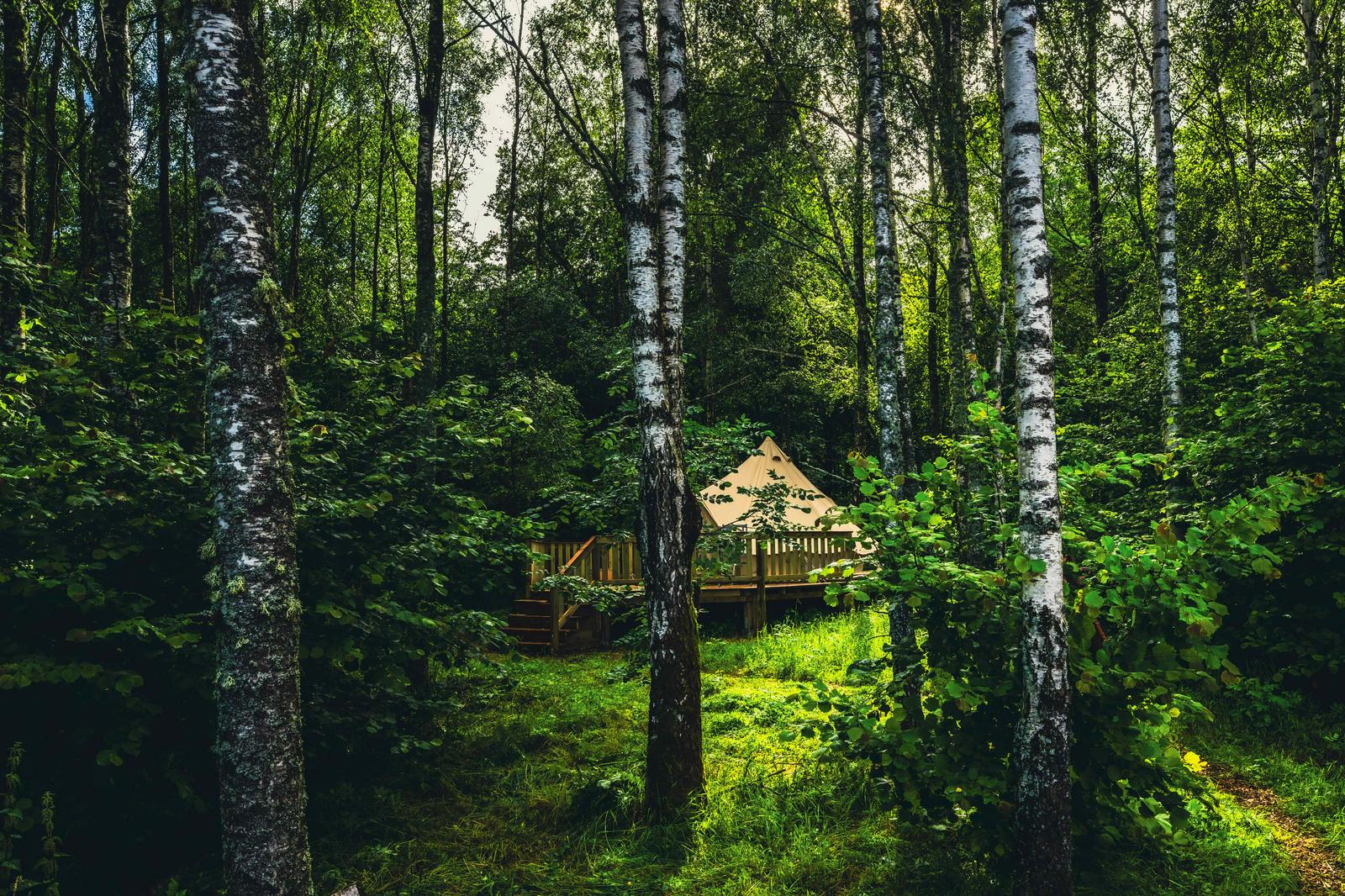 Bjarkagård glamping