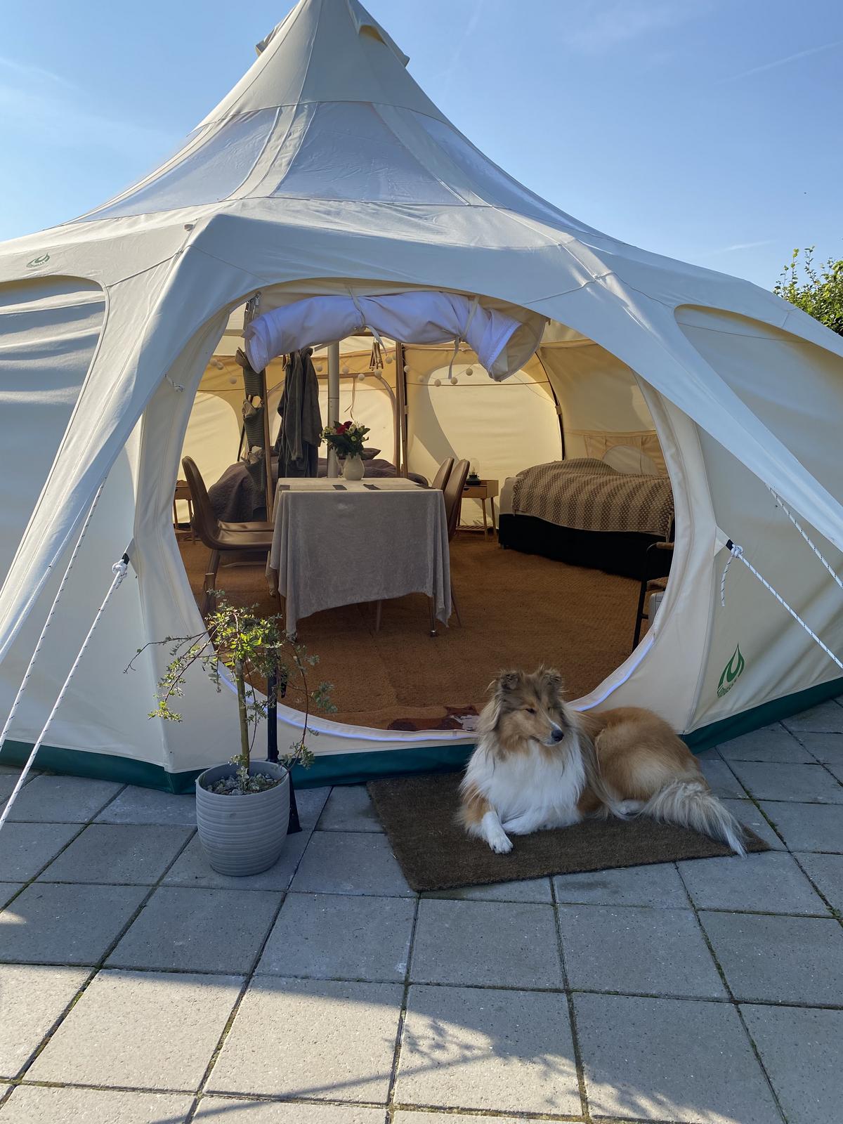 Enghytten med vildmarksba