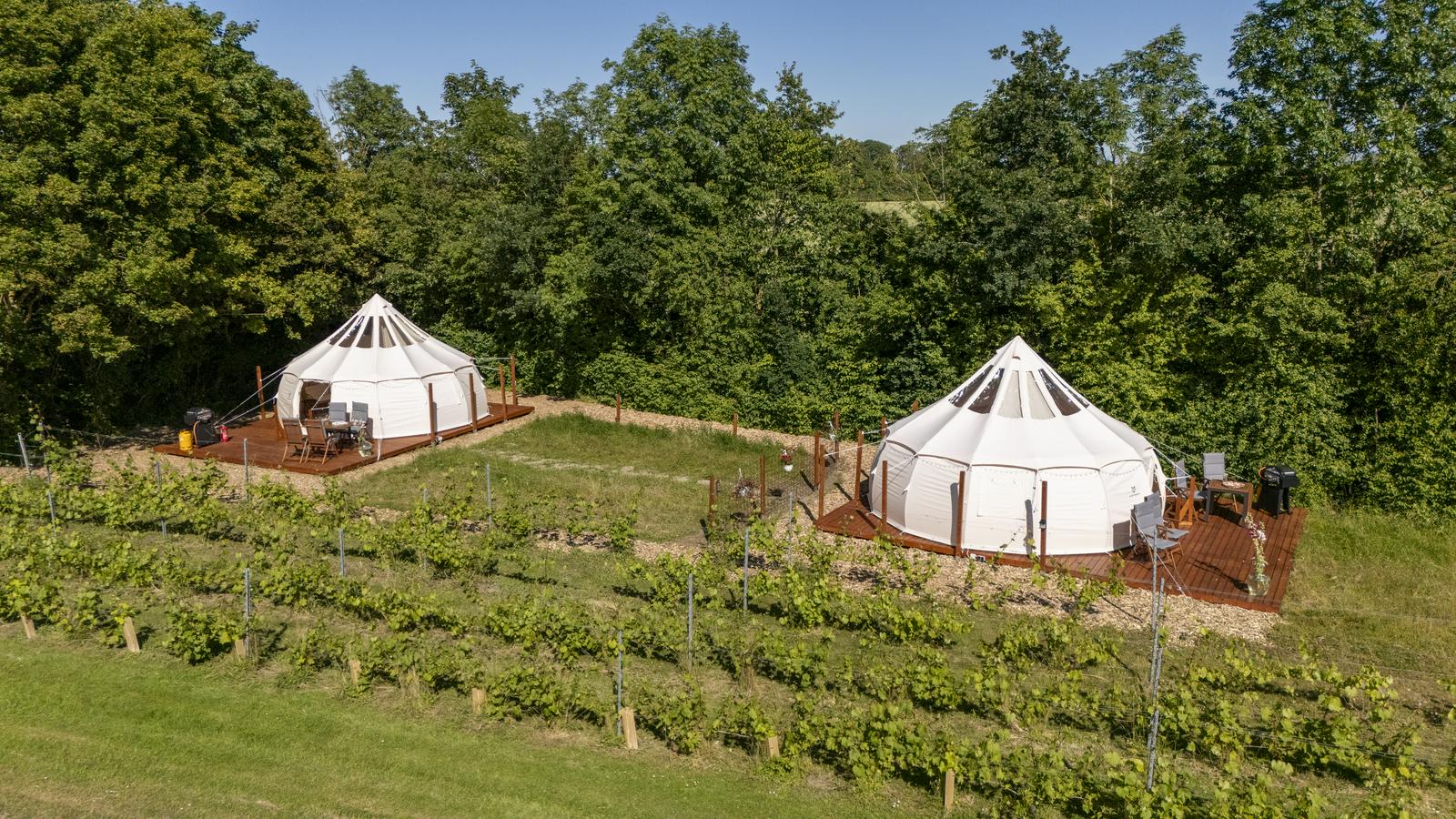 Holmegaard Vin og Glampin