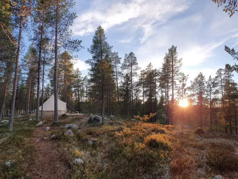 Femund Glamping - Solsikt