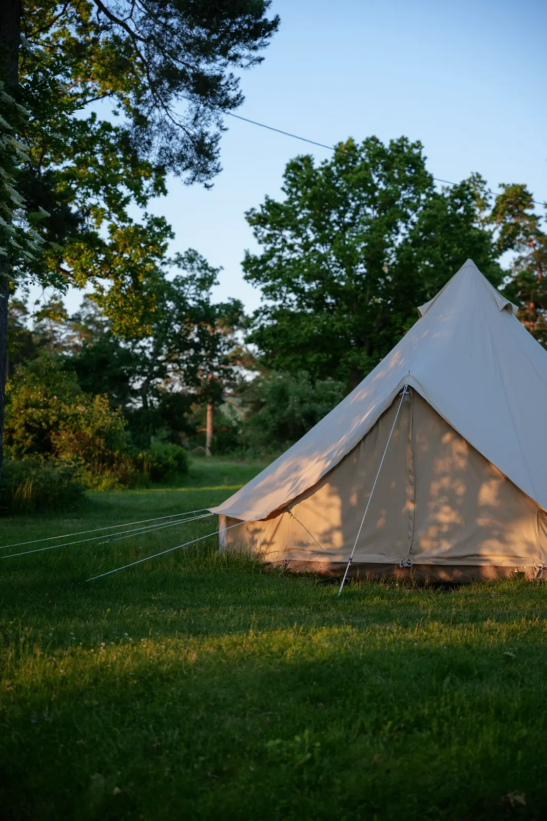 Unfurnished Group Tent (Pets Allowed)