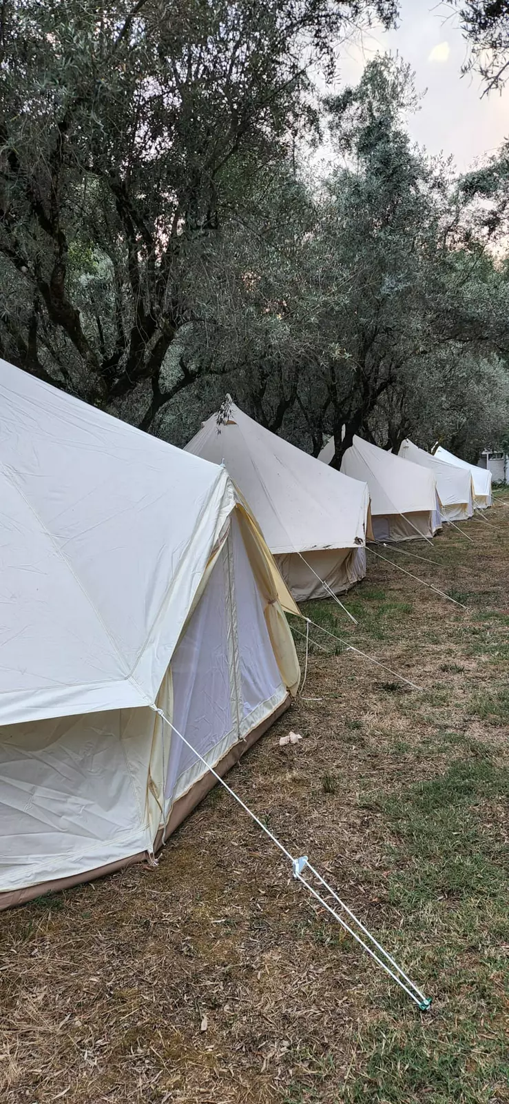 A Ponte - Secret Garden