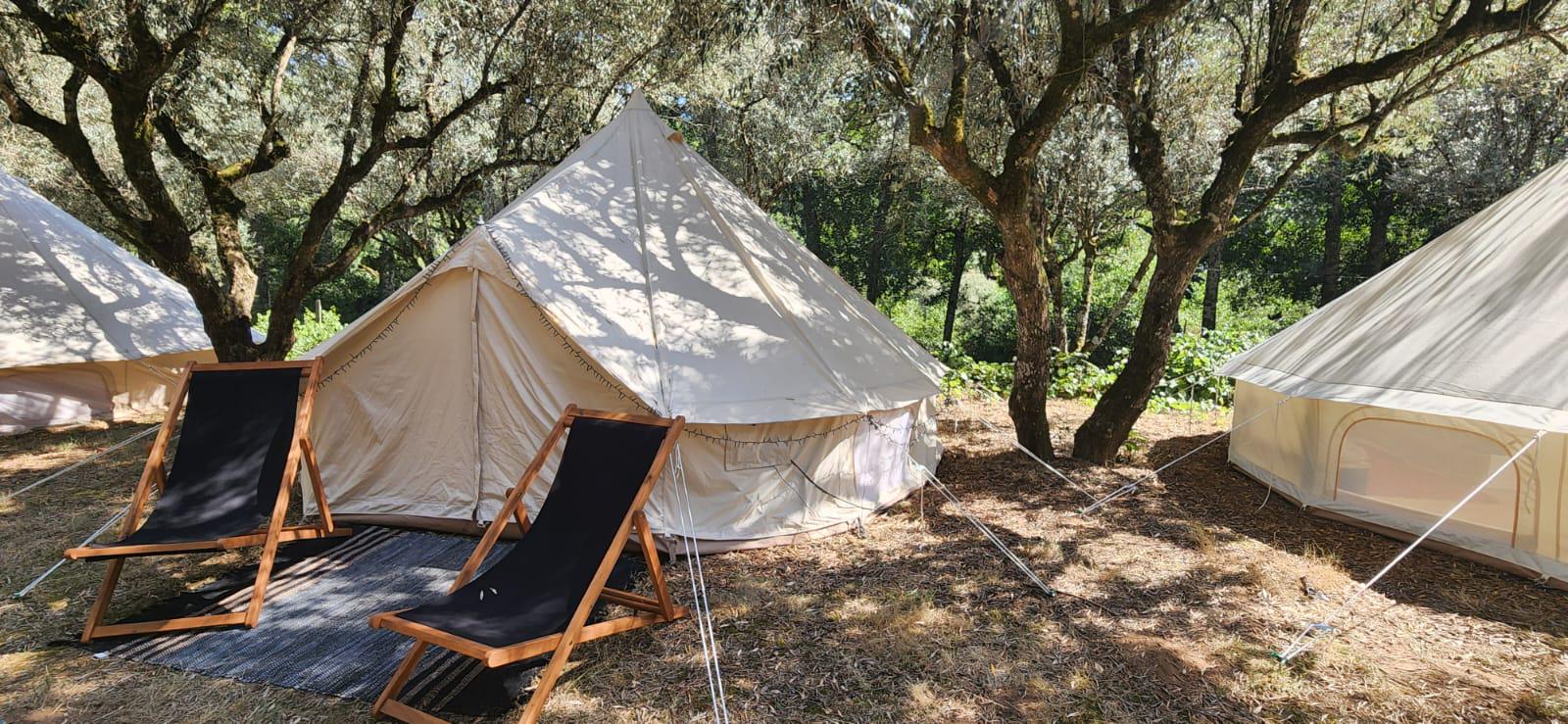 Oliveira do Hospital