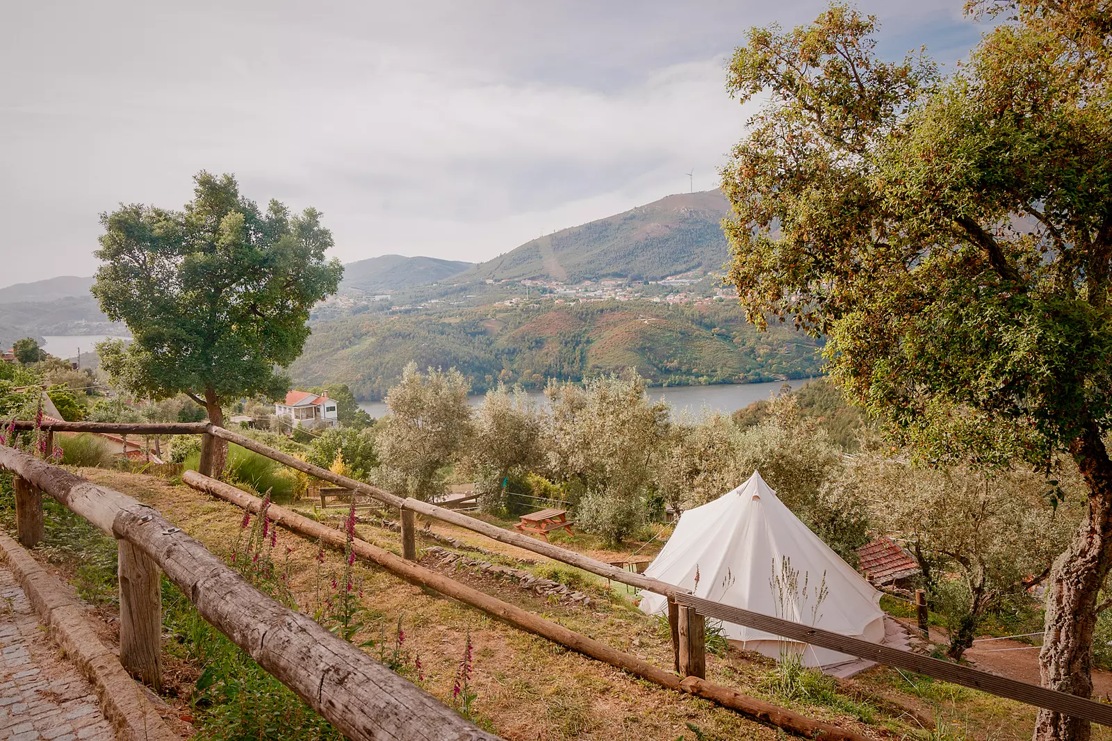 Bell Tent Douro