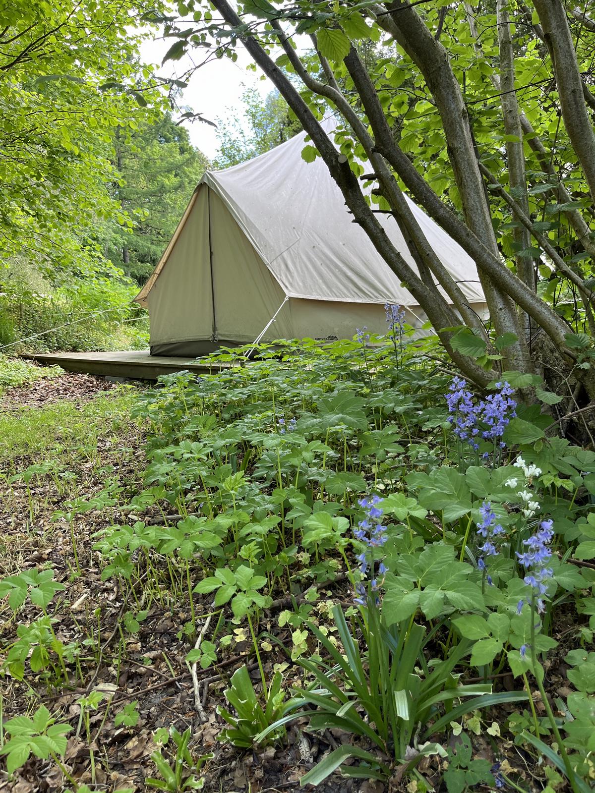 GlampCamp