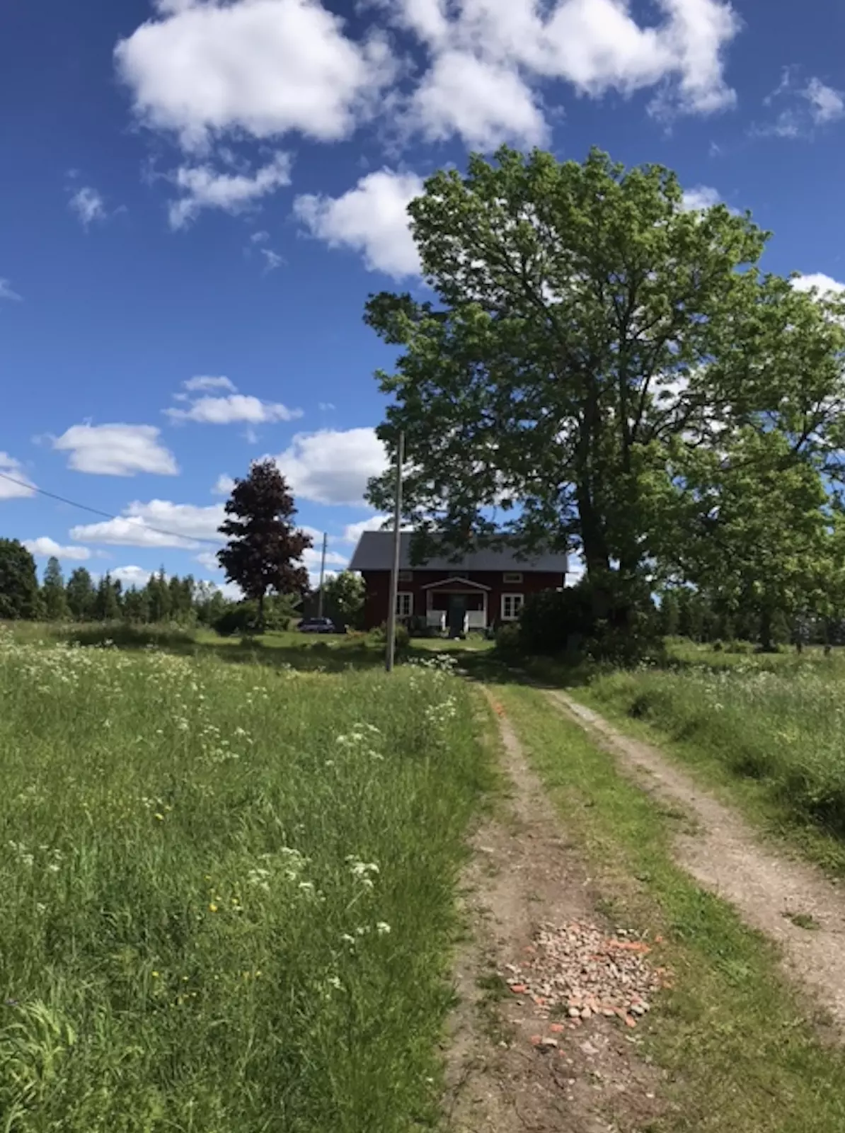 Riddarskogen 520