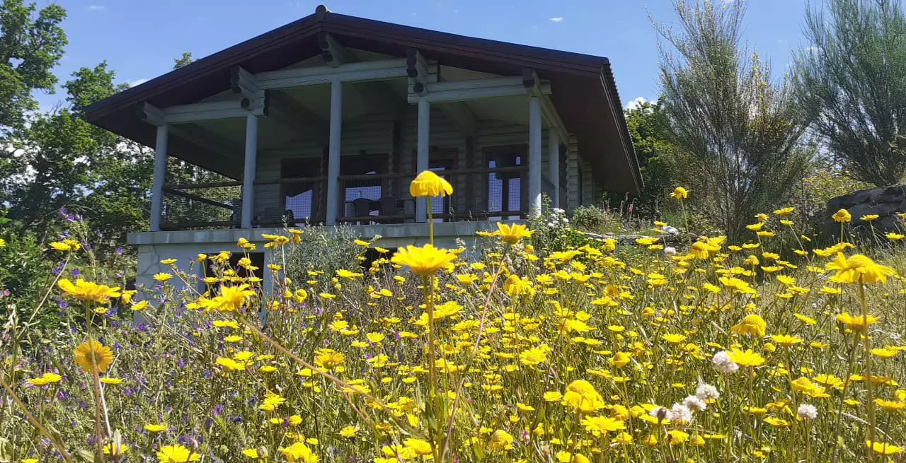 Casa de troncos acolhedor com vistas únicas para a Serra da Cabreira, Alvão, Marão e Géres
