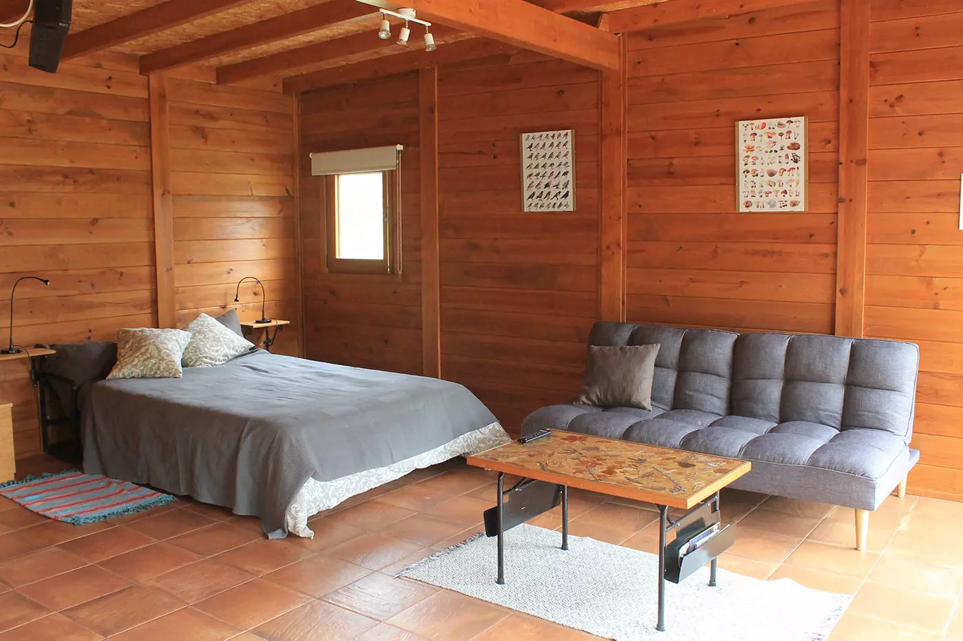 Lirium - Harmony and sustainability