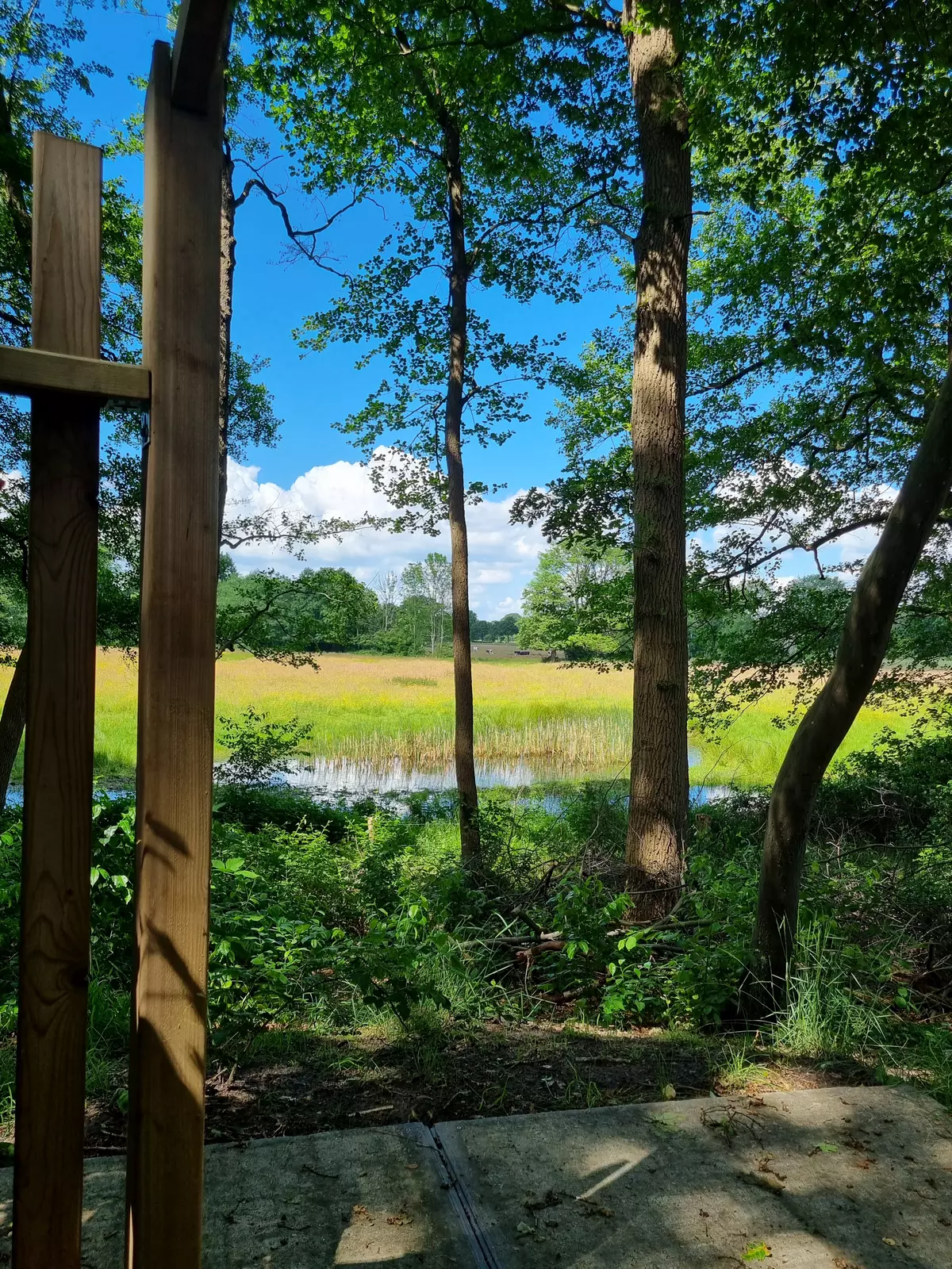 Vechtdalchalets Giethmen, nabij Ommen