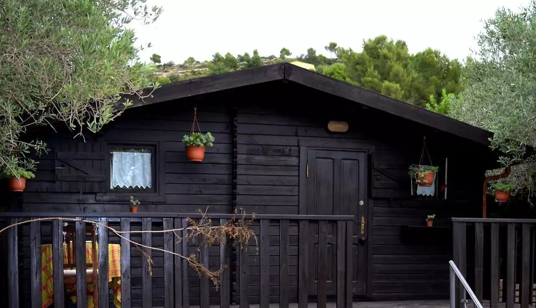 The Fool & The Princess Wooden Houses