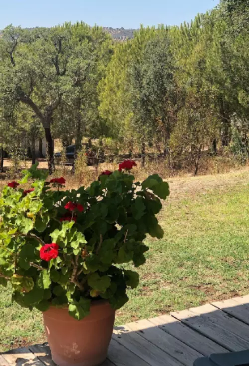 Confortável chalé com vista de barragem