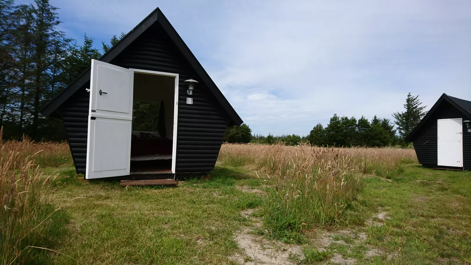 Naturskur - lige midt i det høje græs