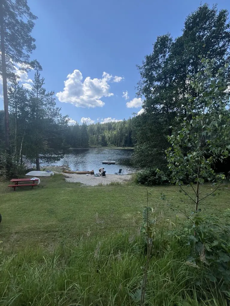 Koselig hytte i skogen