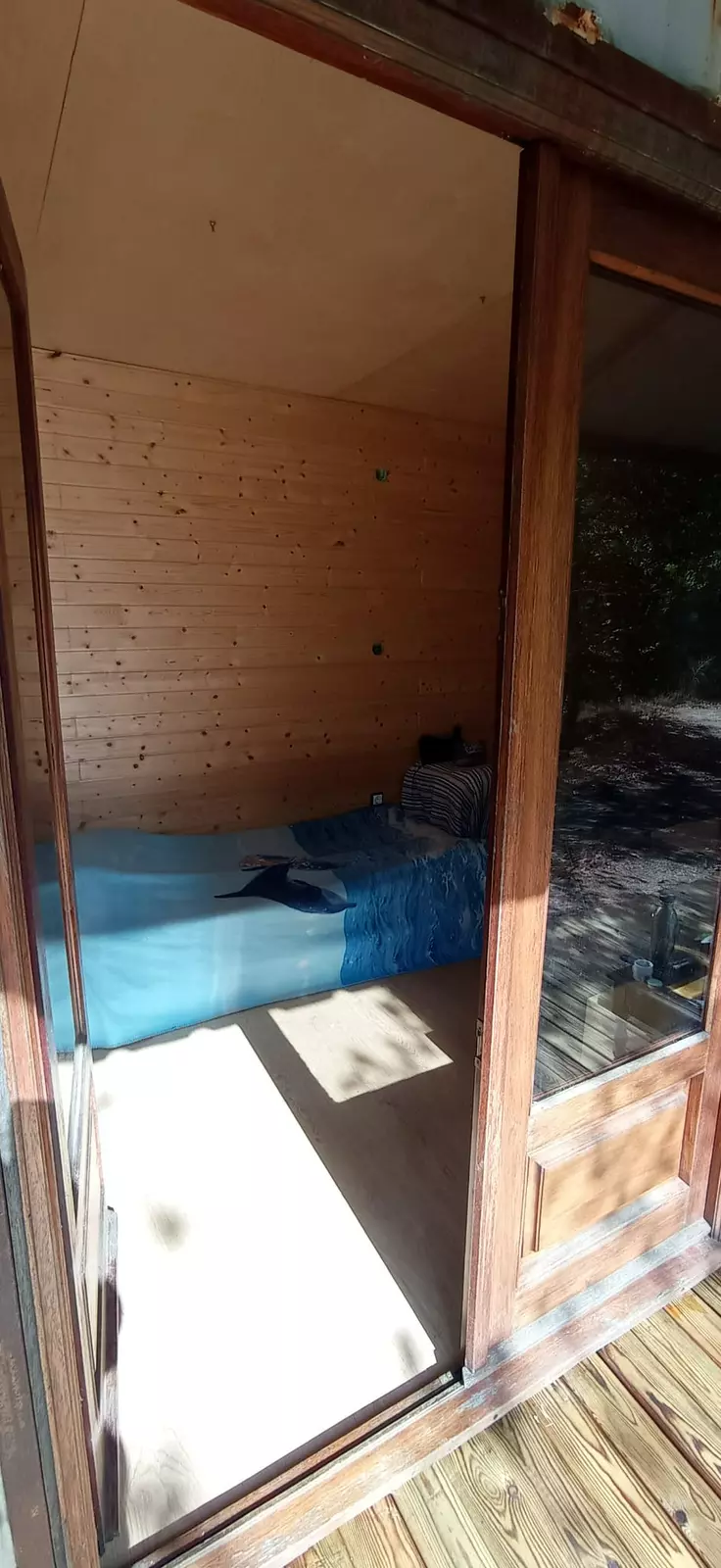 Transformed shipping container in the forest