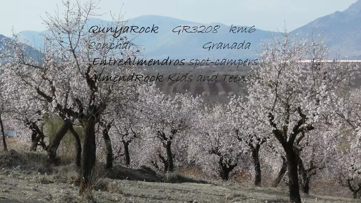 Entre Almendros