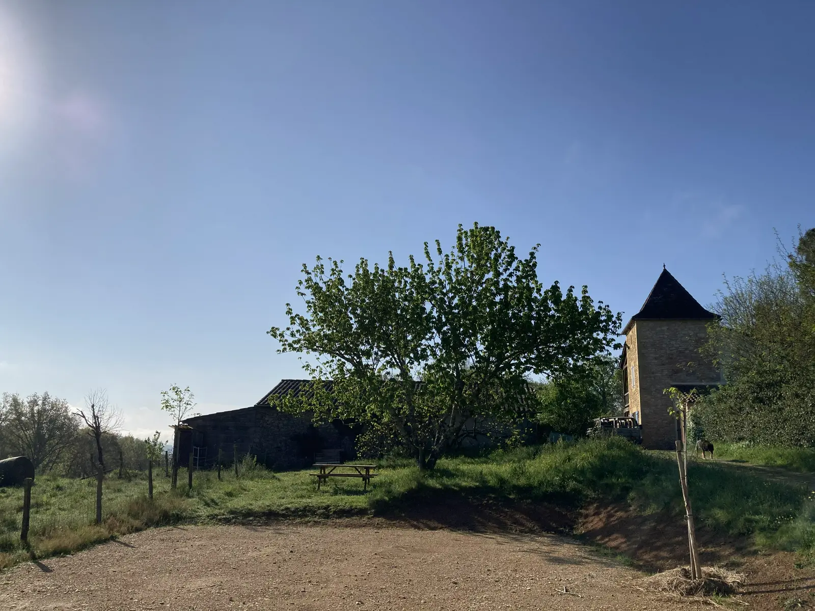 Emplacement de camping au Terrier