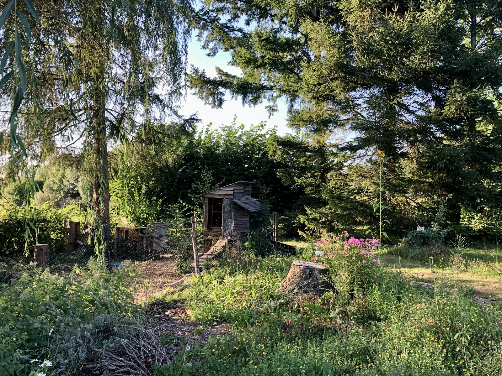 image gallery