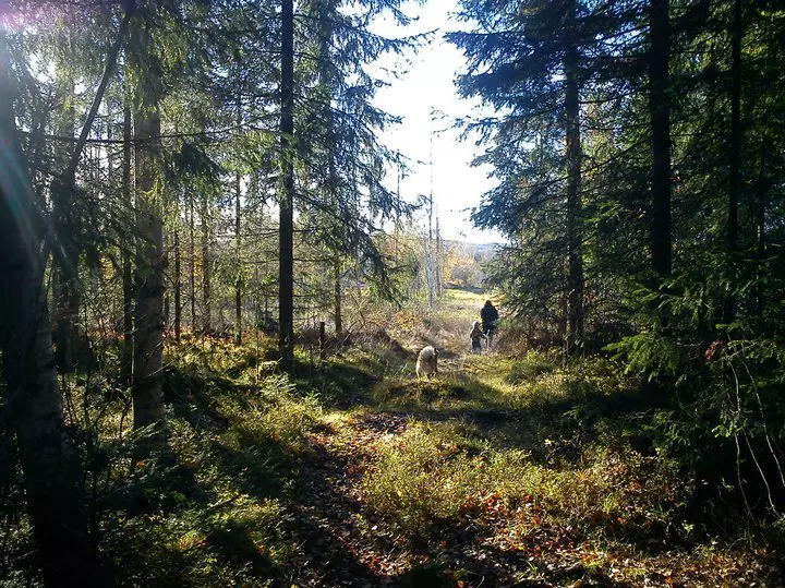 Tuvenga country camp