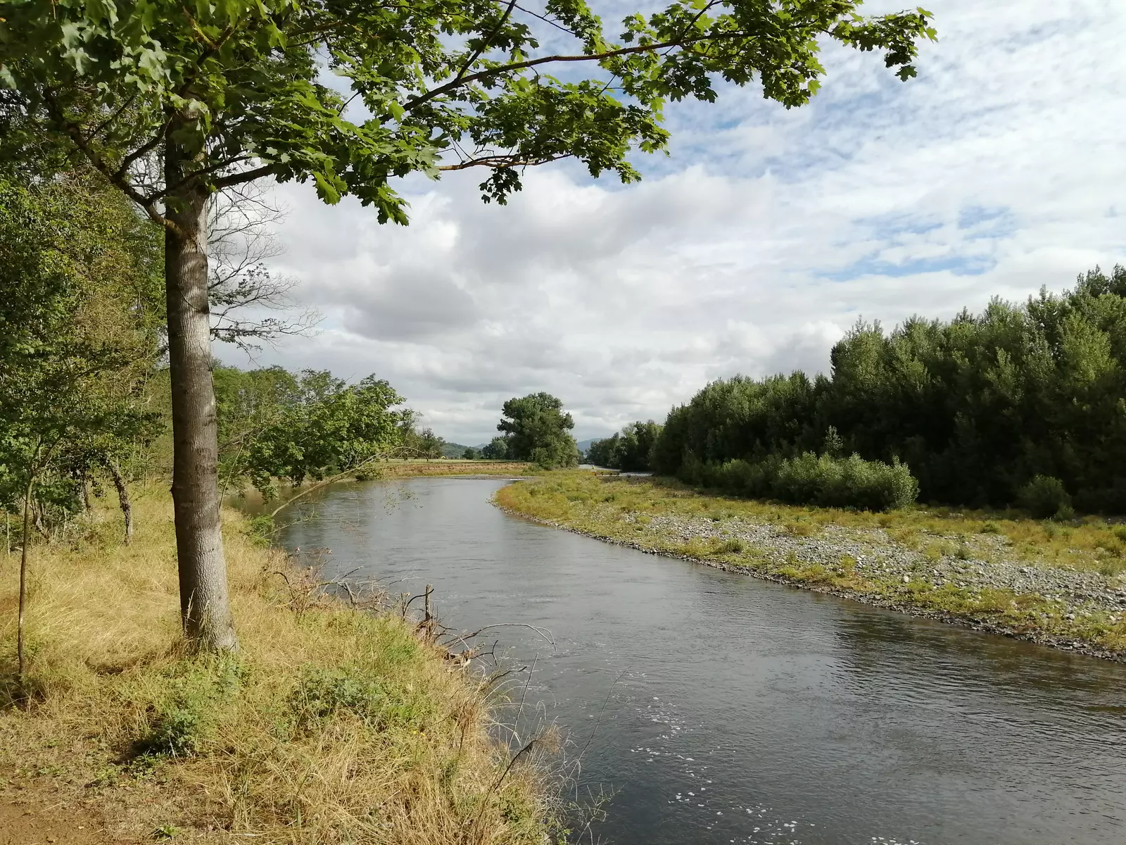 Terrain arboré en bordure d'Allier