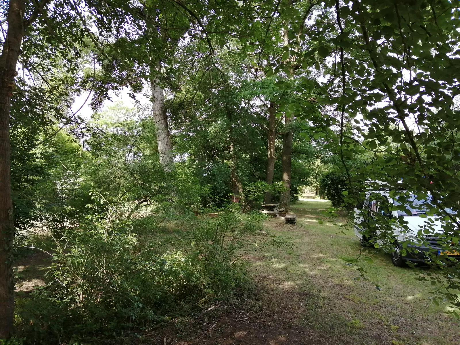 image gallery
