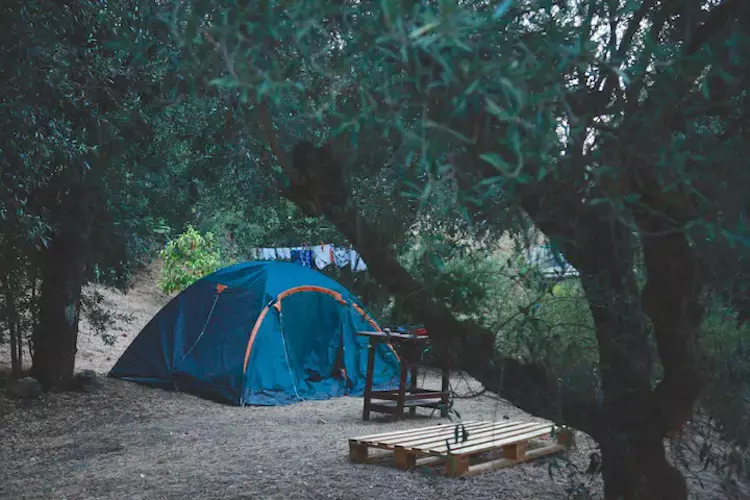 Casa Fluxus