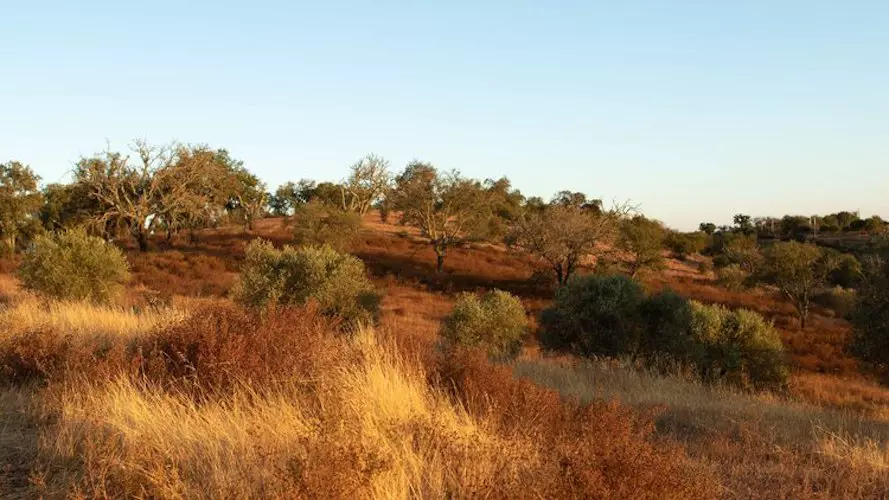 Monte das Fontainhas