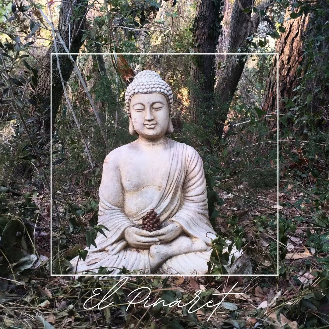 Slide 8