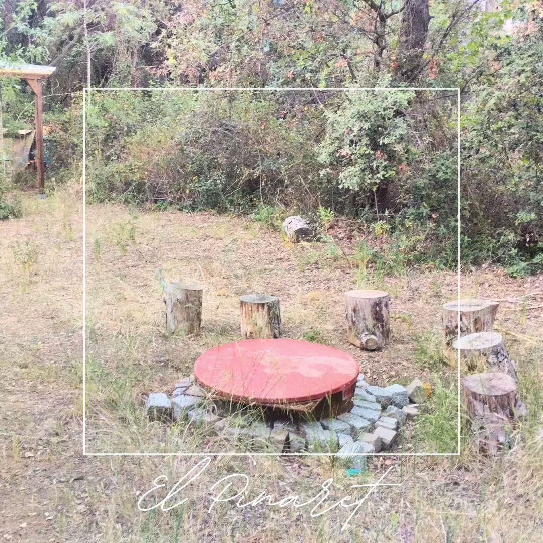 Slide 5