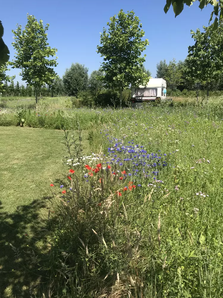 Buitenhof Hilvarenbeek