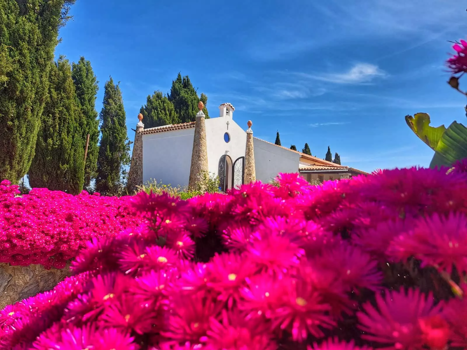 Slide 7