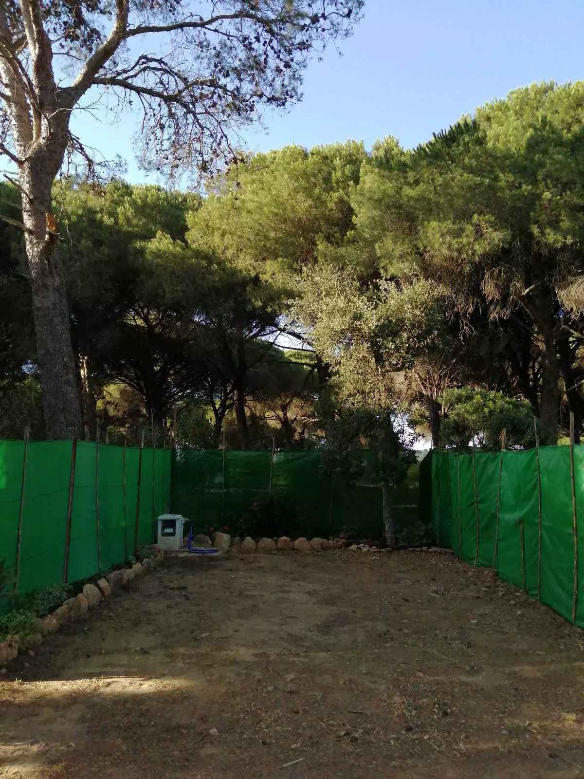 Camping spots i Vejer de la Frontera – Espacio tranquilo y verde
