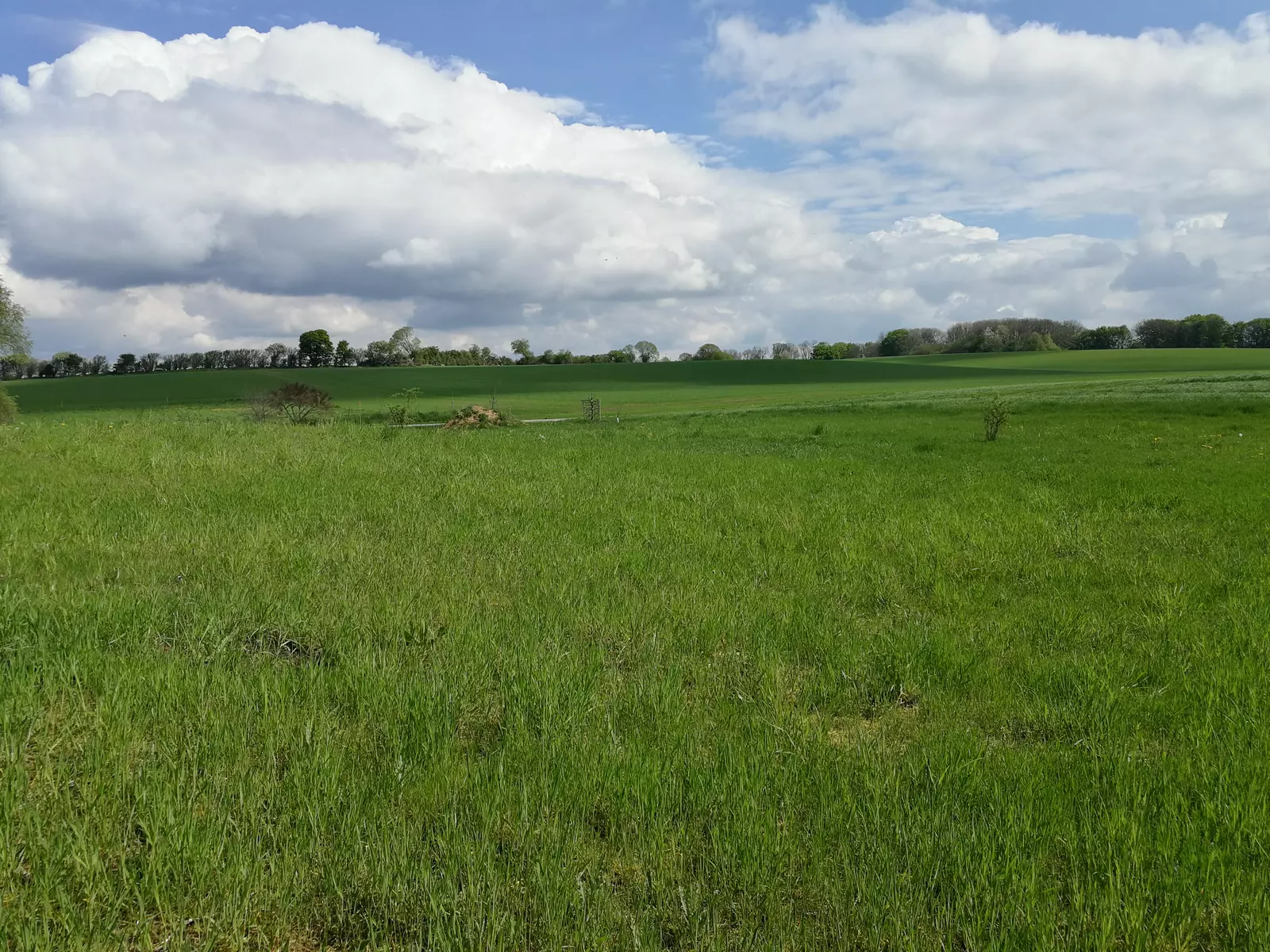 Grund i landlige omgivelser med udsigt over markerne