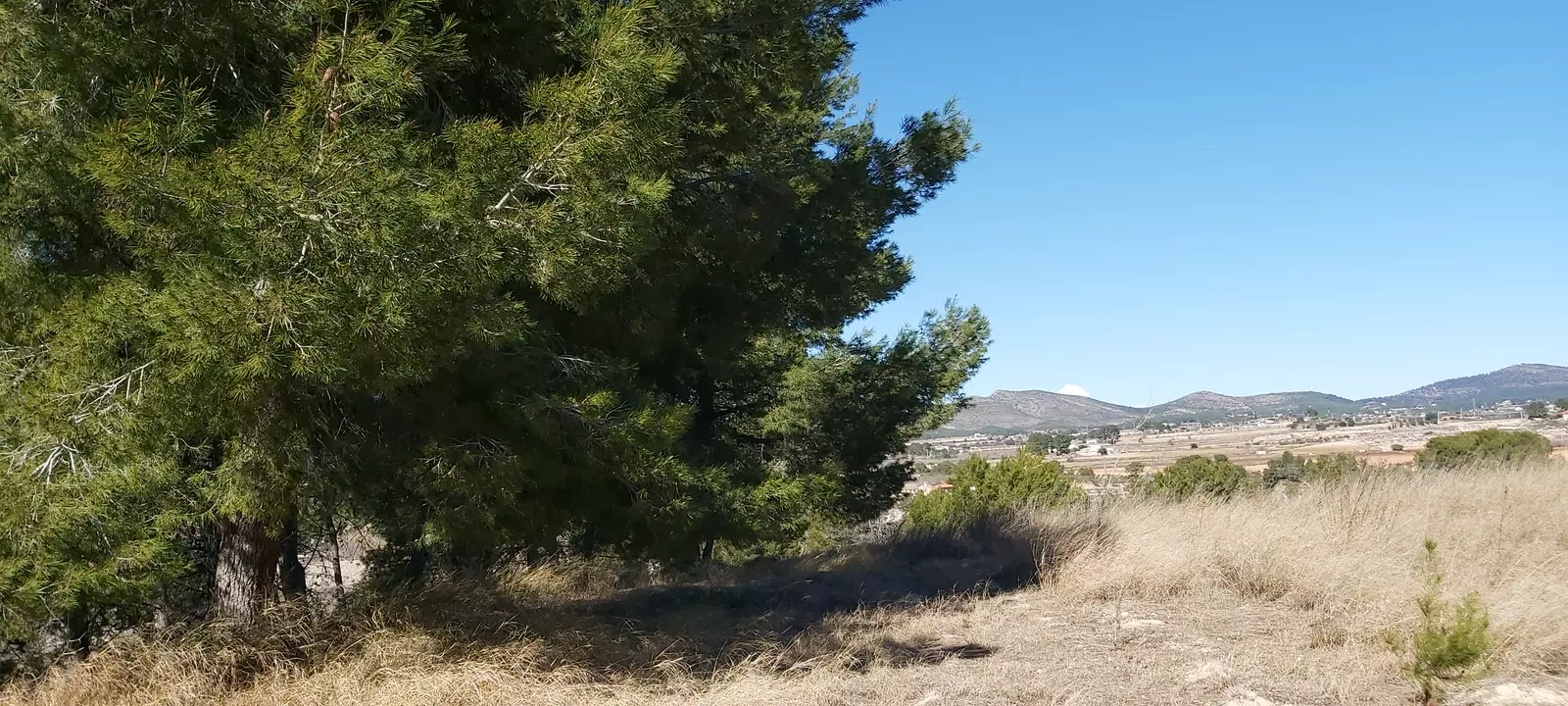 El campamento de las 21 hanegadas y media