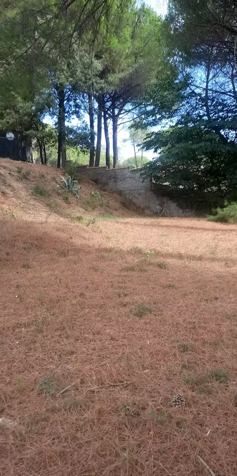 Le Roque 