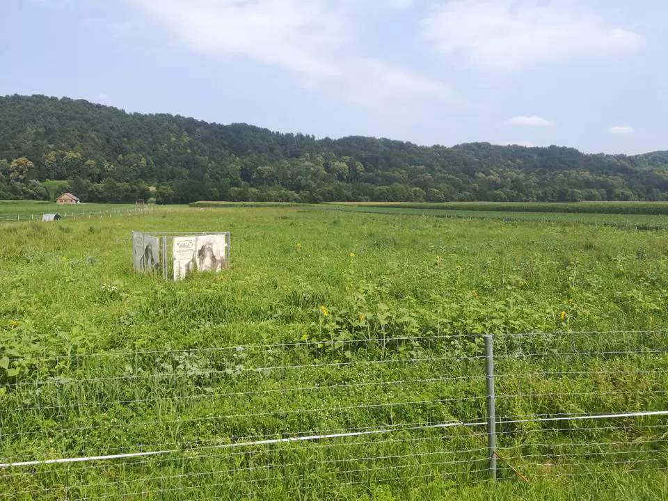 Nagl,s wertschätzung