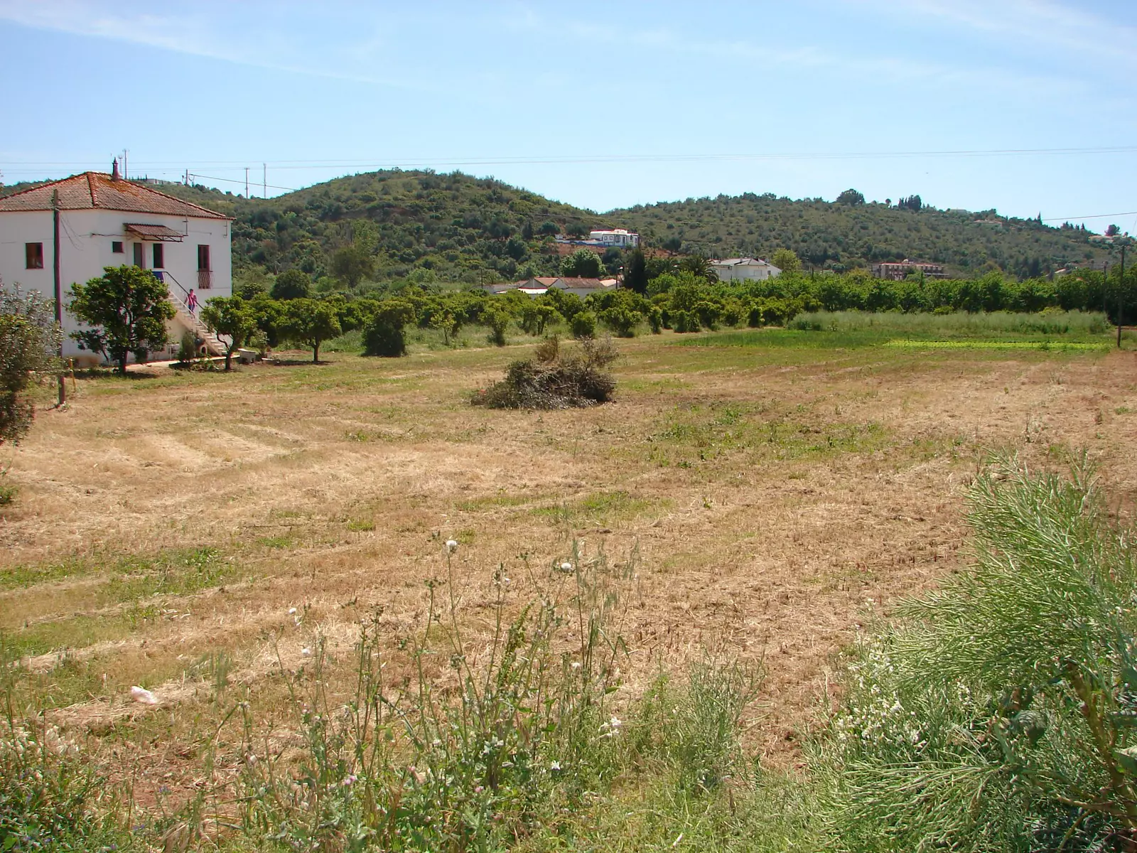 Quinta Carolino