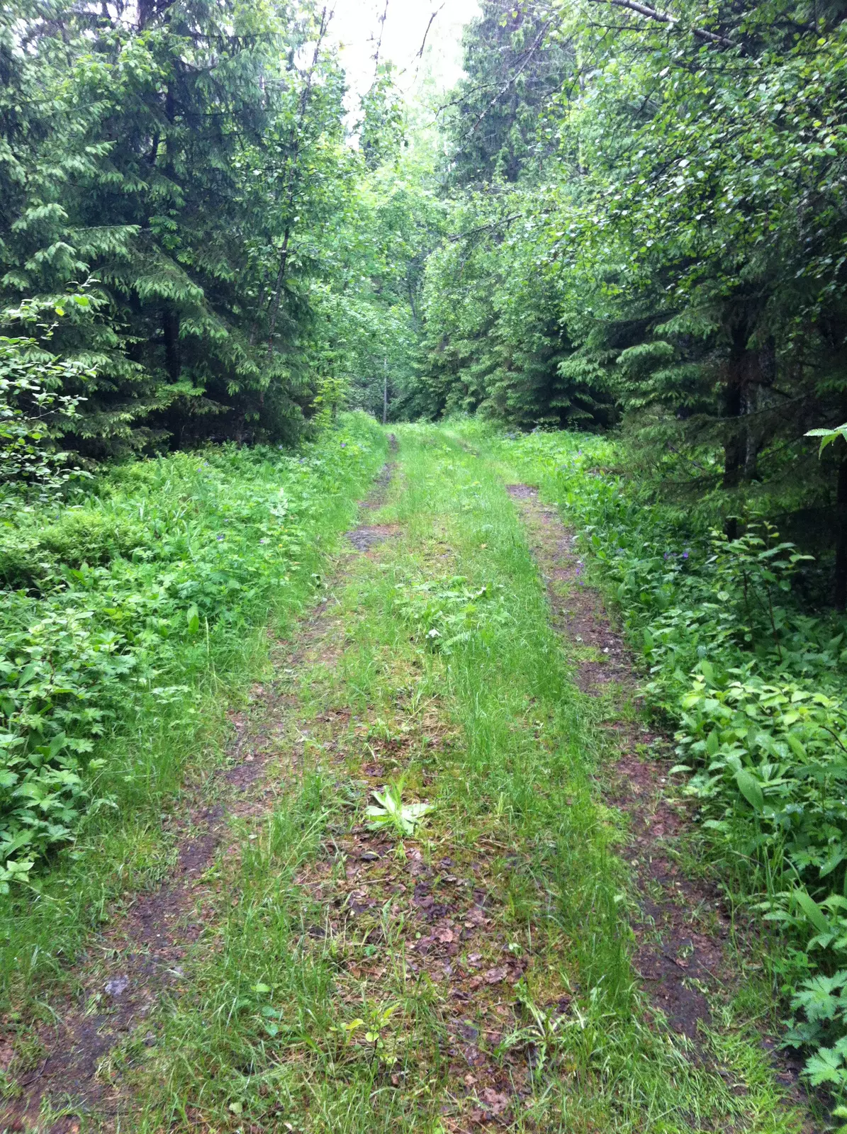 På landet utanför Härnösand