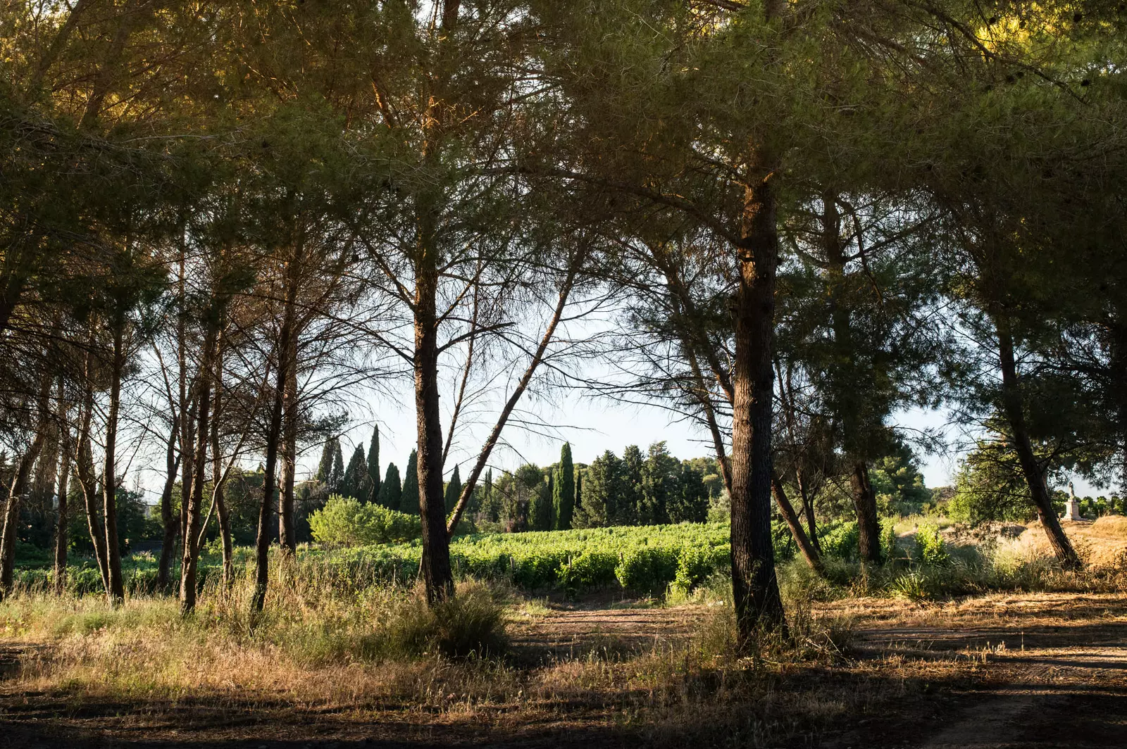 Domaine De La Conseillère 