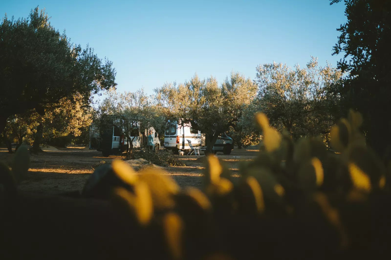 La Finca Ermita