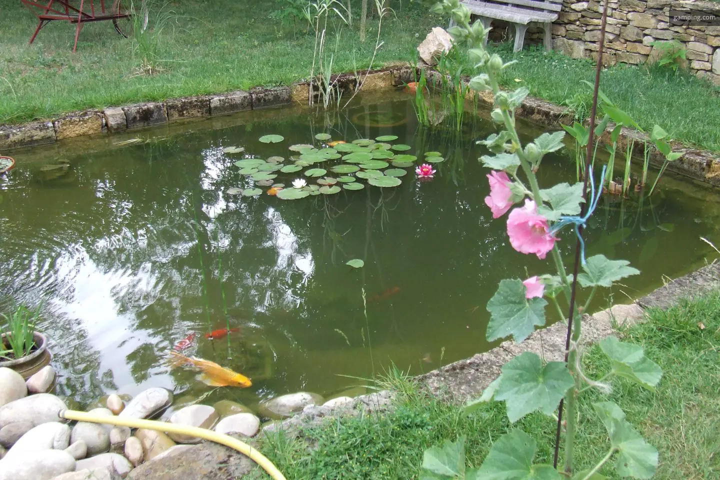 image gallery