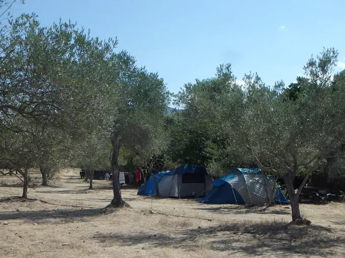 Camping Ferme Pietra Macchja