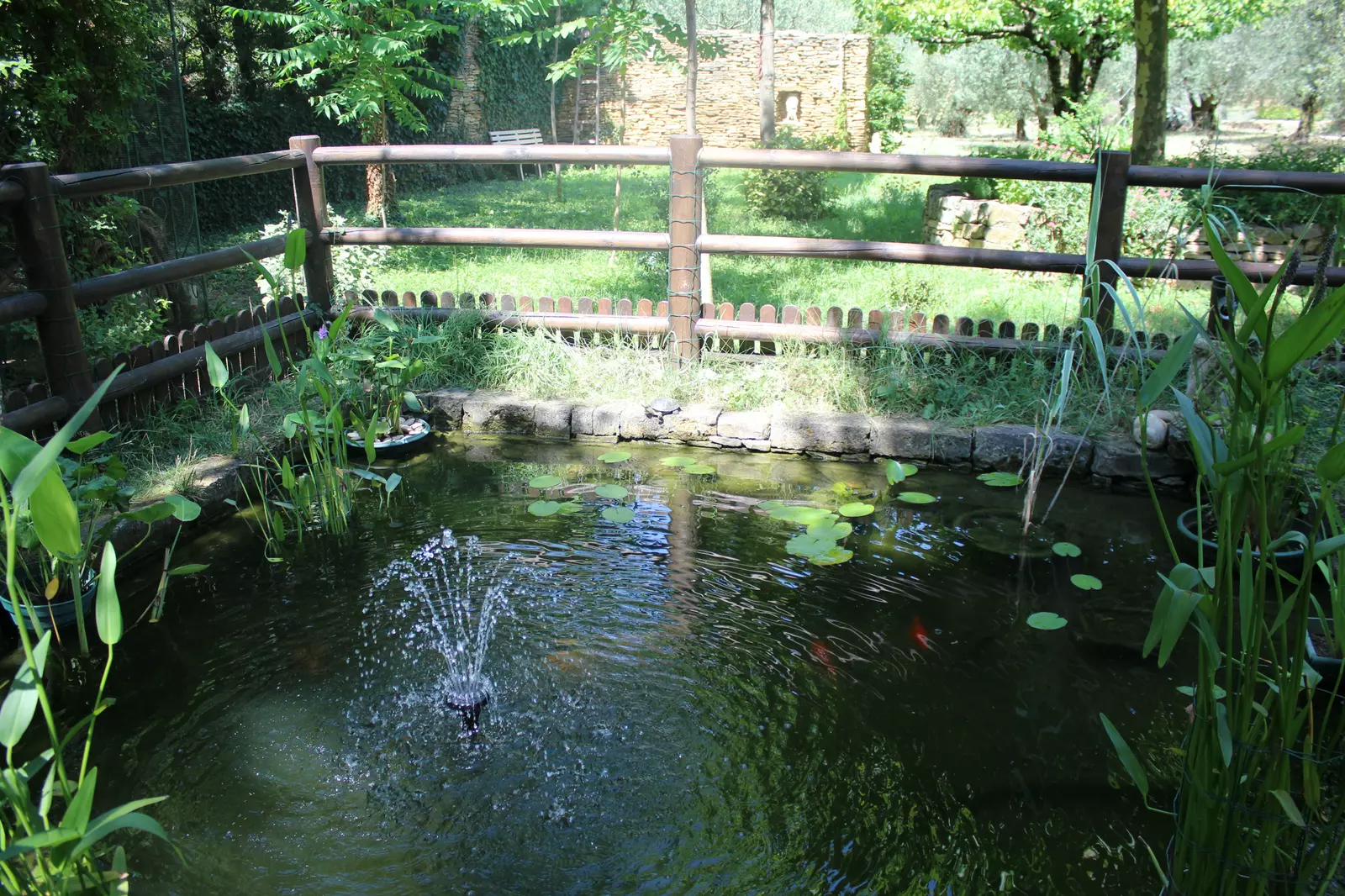 image gallery