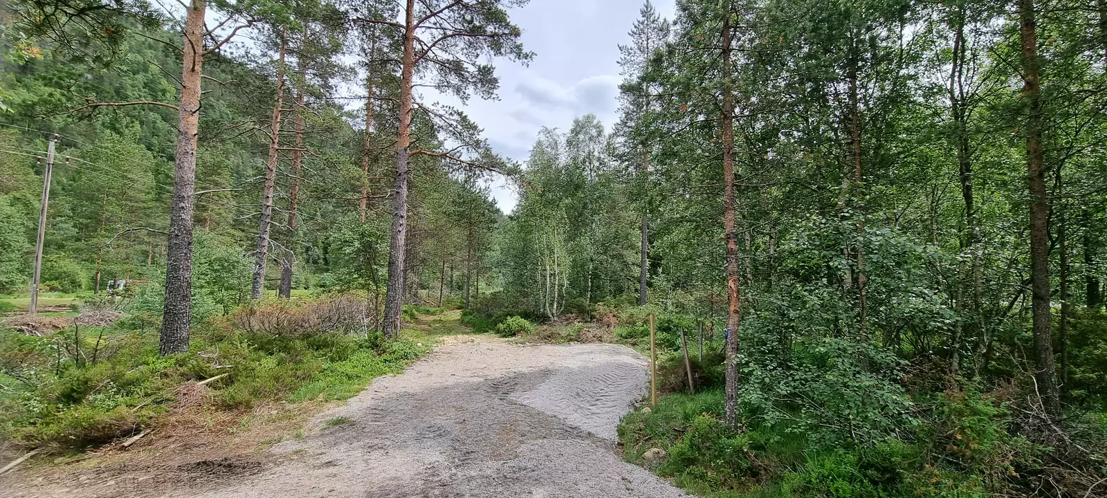 Slide 6