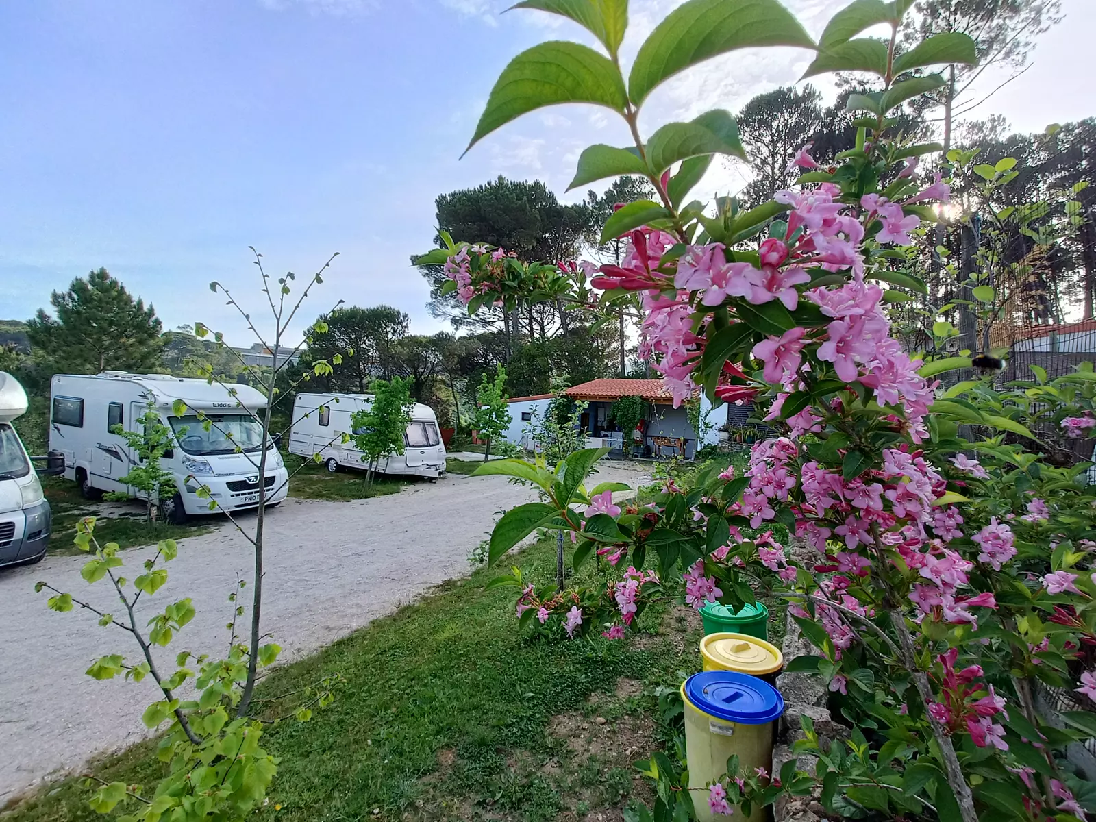 Quinta do Pinhoeiro