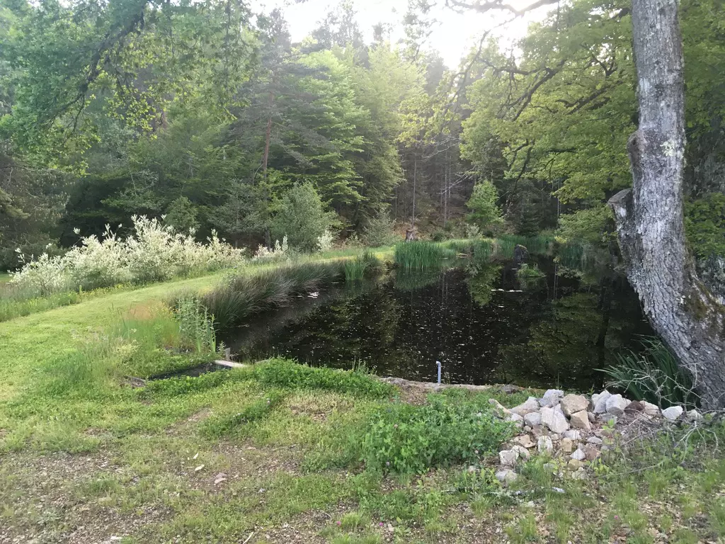 Camping spots i Chirac-Bellevue – Emplacement proche du Lac de Neuvic