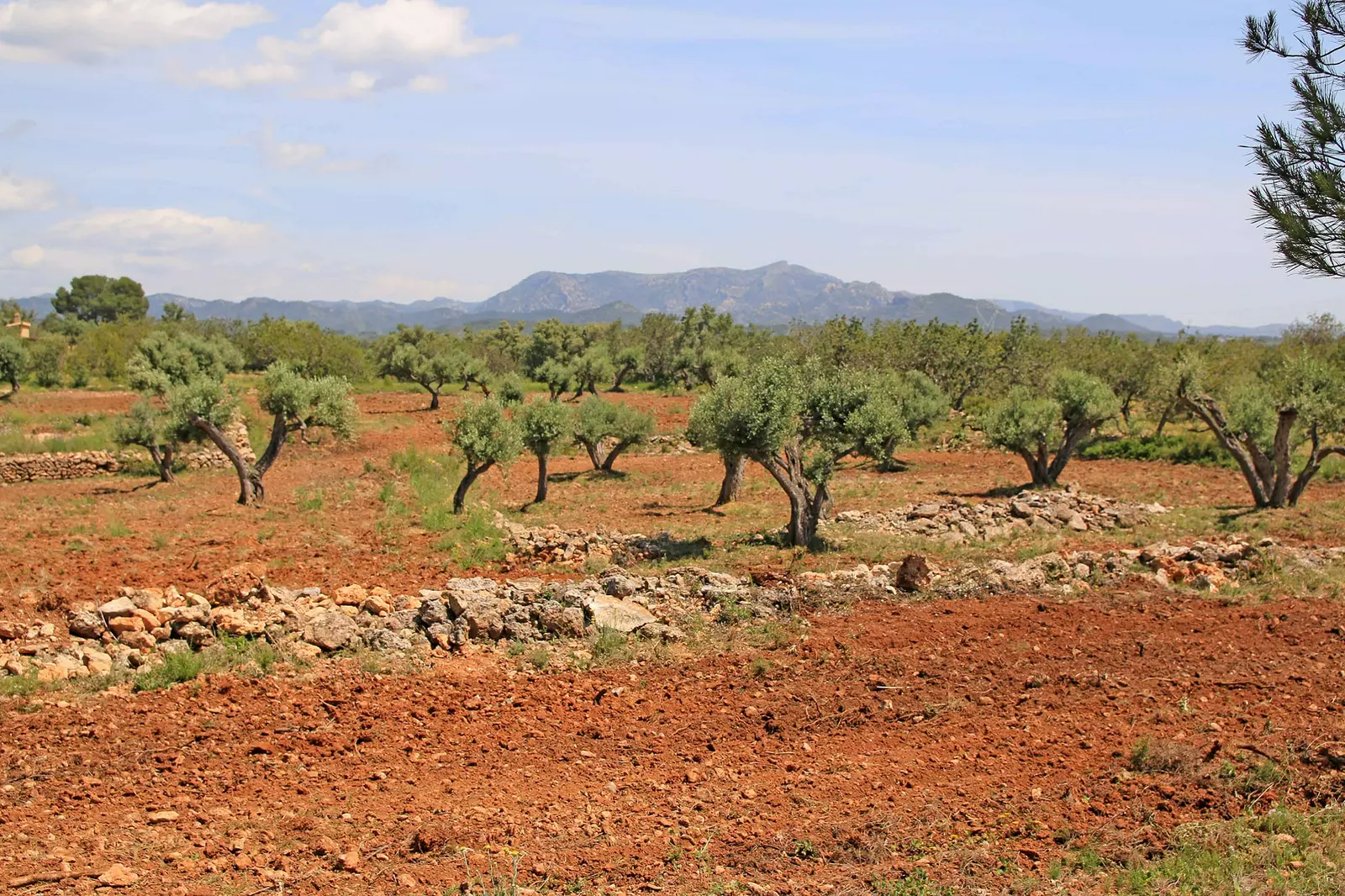 Finca Tivissa - E-Ride Natura