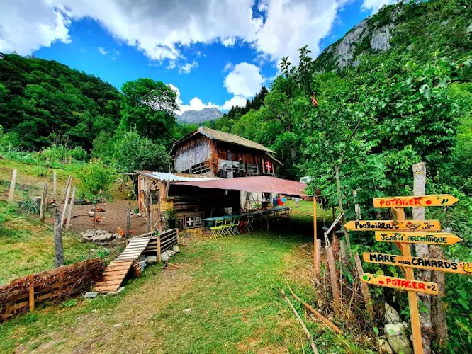 image gallery