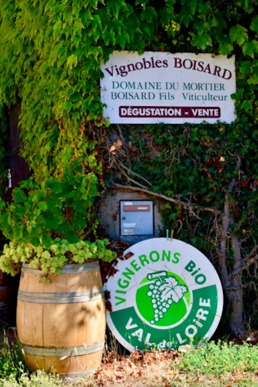 Espace camping-car au milieu des vignes 
