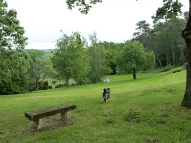 Le Domaine du terroir