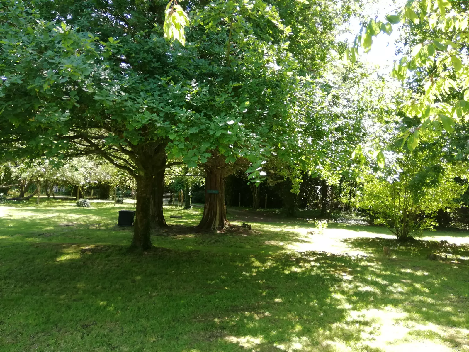image gallery